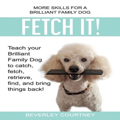 Fetch It! Teach your Brilliant Family Dog to catch then fetch ret