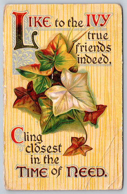Postcard Like to the Ivy true friends indeed Cling closet in the Time of Need