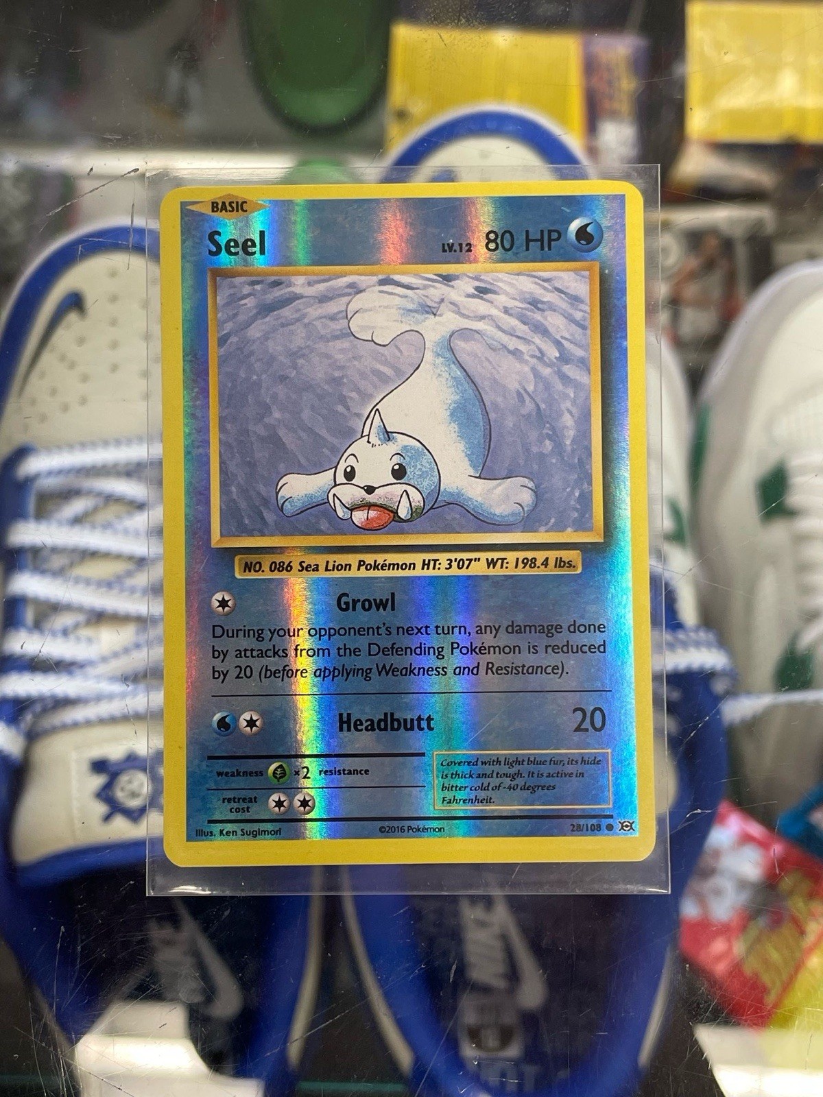 Seel 28/108 XY Evolutions Reverse Holo Collect Set Rare POKEMON Card Uncommon
