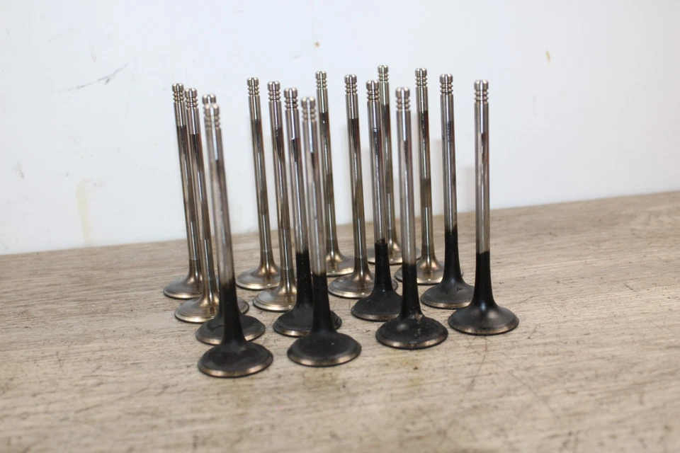 02/03 JUEGO DE 16 VÁLVULAS DE ADMISIÓN Y ESCAPE MOTOR BMW X5 E53 4.6IS M62TU Foto 4 de 4