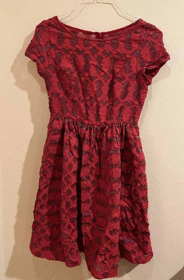 HOLIDAY CHRISTMAS Moulinette Soeurs Anthropologie Ruby Red Lace A Line Dress 4 - Image 3 of 4