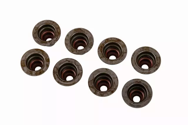 Genuine GM Valve Seals 12482062