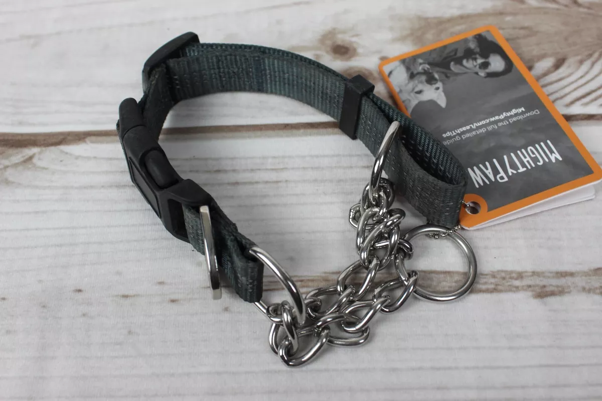 Mighty paw cheap martingale dog collar