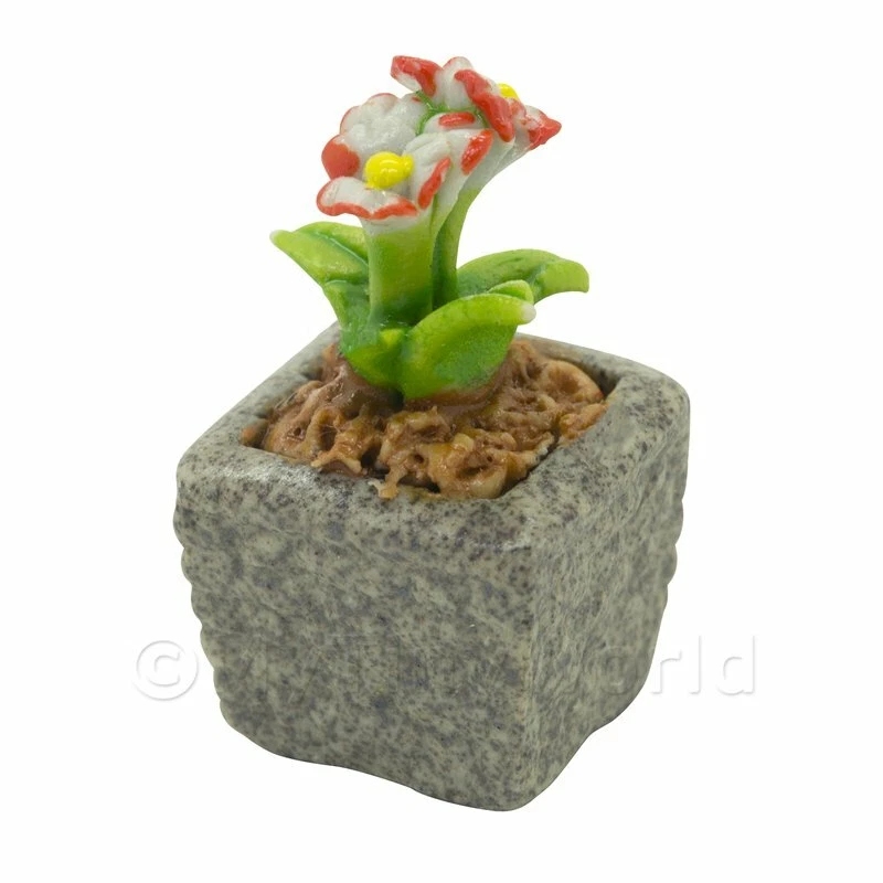Miniature Fait Main Double Coloré Céramique Fleur - Photo 1/1