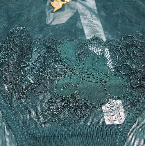 INTIMISSIMI Luxe Panties From Jennifer Lopez’s Intimates Collection in Green - Picture 27 of 29