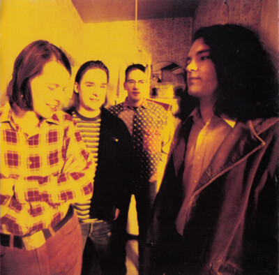 The Posies - Frosting On The Beater (CD, Album) | eBay