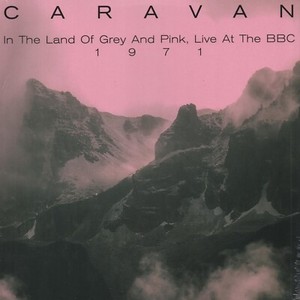 Caravan in the Land of Grey and Pink | eBay