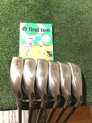 Callaway 2004 Big Bertha Irons Set (7-PW-GW-SW) Regular RCH 75i