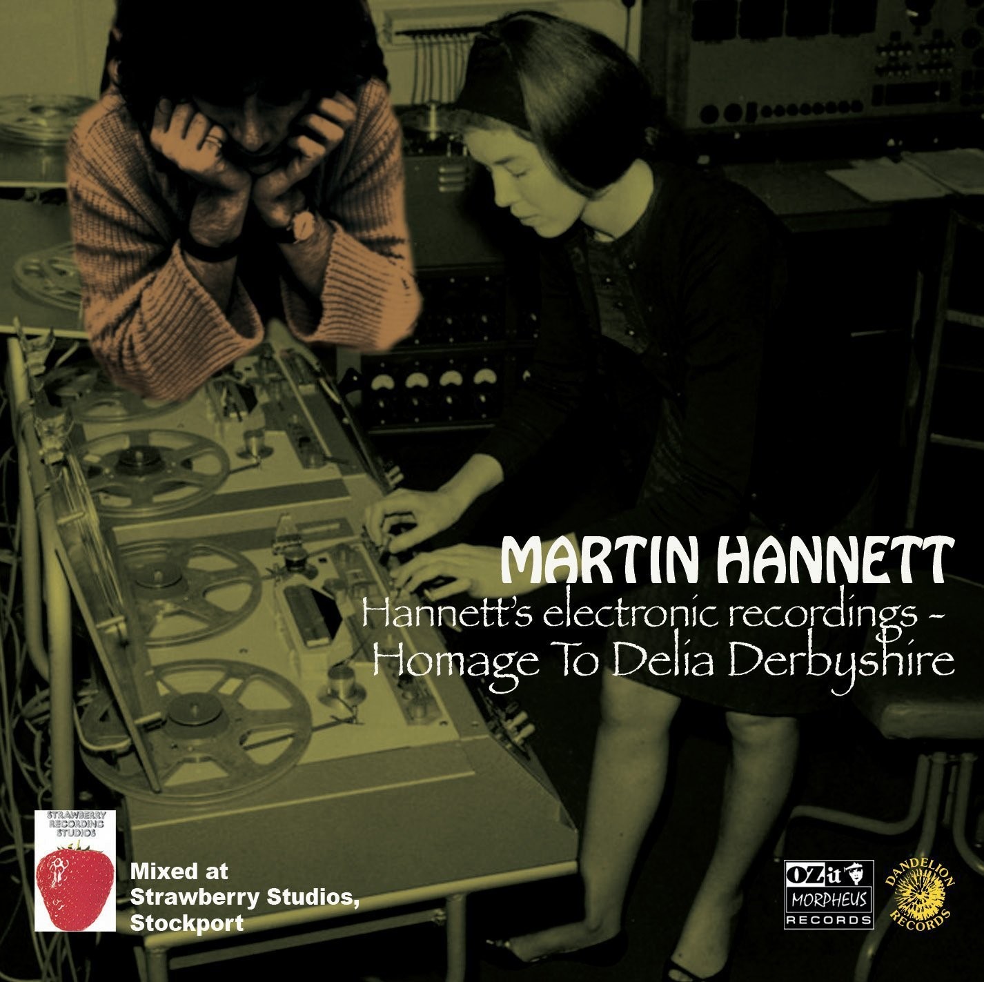 Martin Hannett Hannett's Electronic Recordings - Homage To Delia Derbyshire LP
