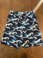 Boys Wonder Nation Swim Trunks Size 10-12 with Compression Liner