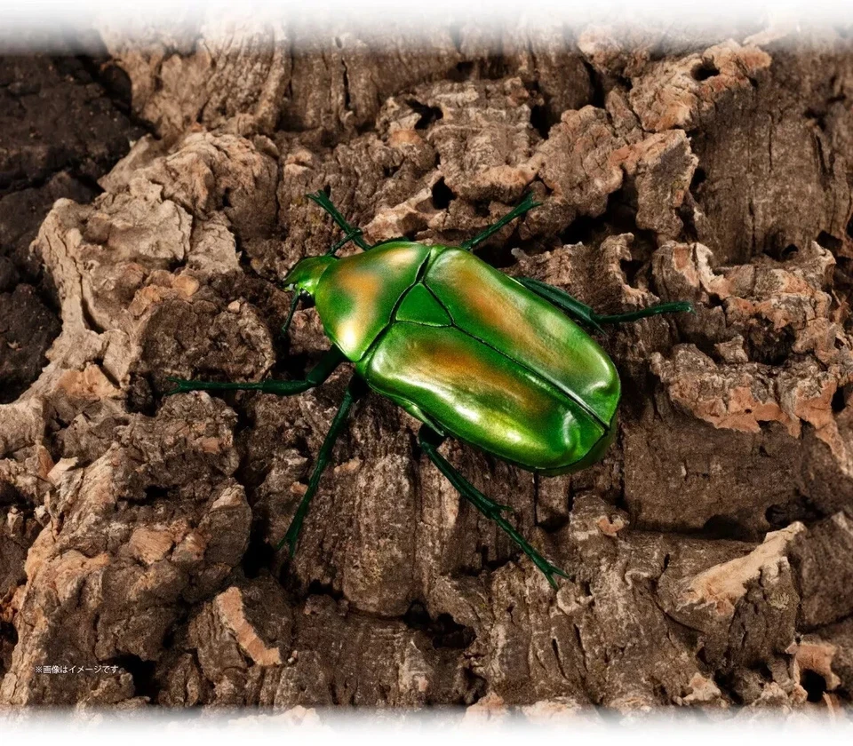 The Diversity of Life on Earth Beetle Vol. 07 Figure Bandai Capsule Toy Gashapon - Image 4 of 4