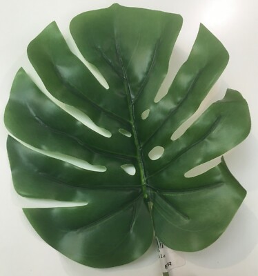 monstera wandbild LaLe Living Bild Leinwanddruck mit Monstera Deliciosa Pflanzen Motiv a main image 1