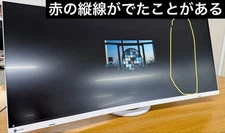 EIZO FlexScan EV3895 37.5 Inch UltraWide LCD Monitor 3840x1600 JANK