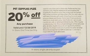 black poodle puppies for sale near me