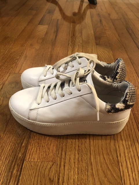 ash women's sneakers