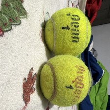 Penn Yellow Tennis Balls Pair