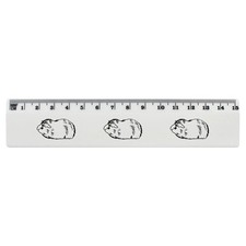 'Guinea Pig' White Plastic Ruler RL016196 