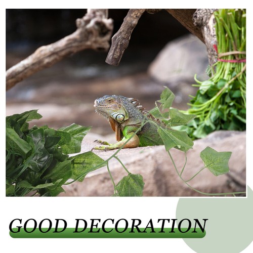 Artificial Plant Reptile outlet Box Vine Reptile Climbing Habitat Decor