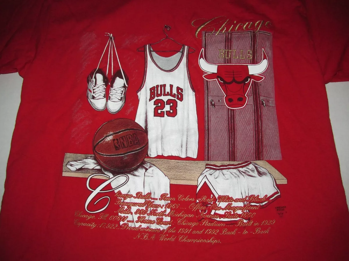 Vintage Chicago Bulls T-shirt NBA T-shirt Basketball 