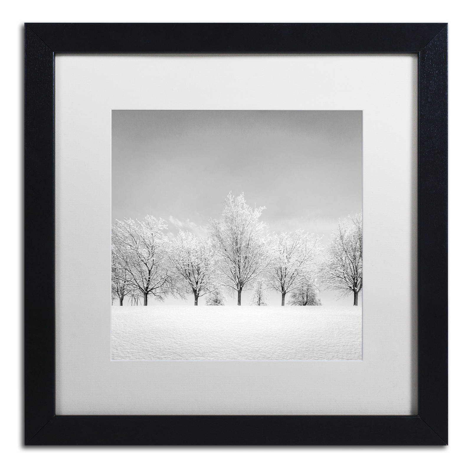 Ice Storm by Dave MacVicar Frame, 16 by 16