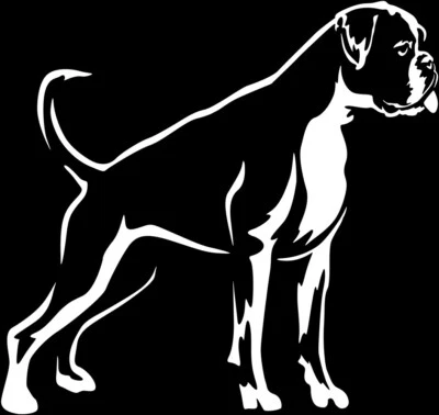 BOXER Aufkleber - Boxer Autoaufkleber - Boxer sticker - Boxer Kontur #59 - Bild 1 von 3