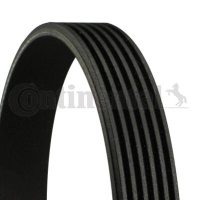 CONTINENTAL CTAM Keilrippenriemen 6PK2460 für AUDI CADILLAC CHRYSLER DODGE JEEP