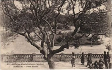 CPA SENEGAL DAKAR - Place Protét, (46734)