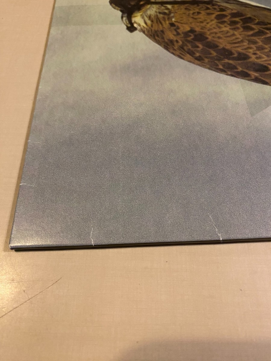 米LP Iceage Youre Nothing OLE10091 Matador /00260 You're Nothing Vinyl Record LP By Iceage 2013 Matador