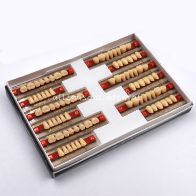 84pcs Acrylic Resin Teeth Denture Dental Tooth Upper Lower Shade 23# A1