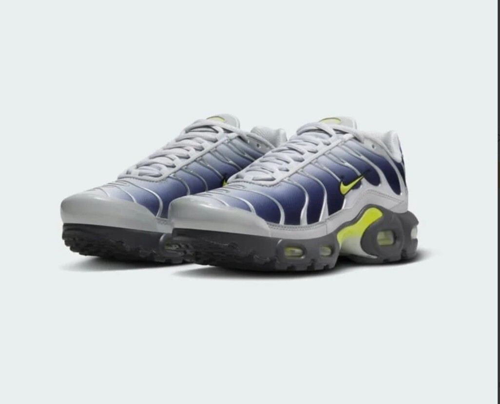 nike tn metallic silver