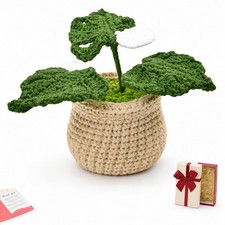 Handmade Crochet Plants Monstera Flower Pot for Office Desk Decor