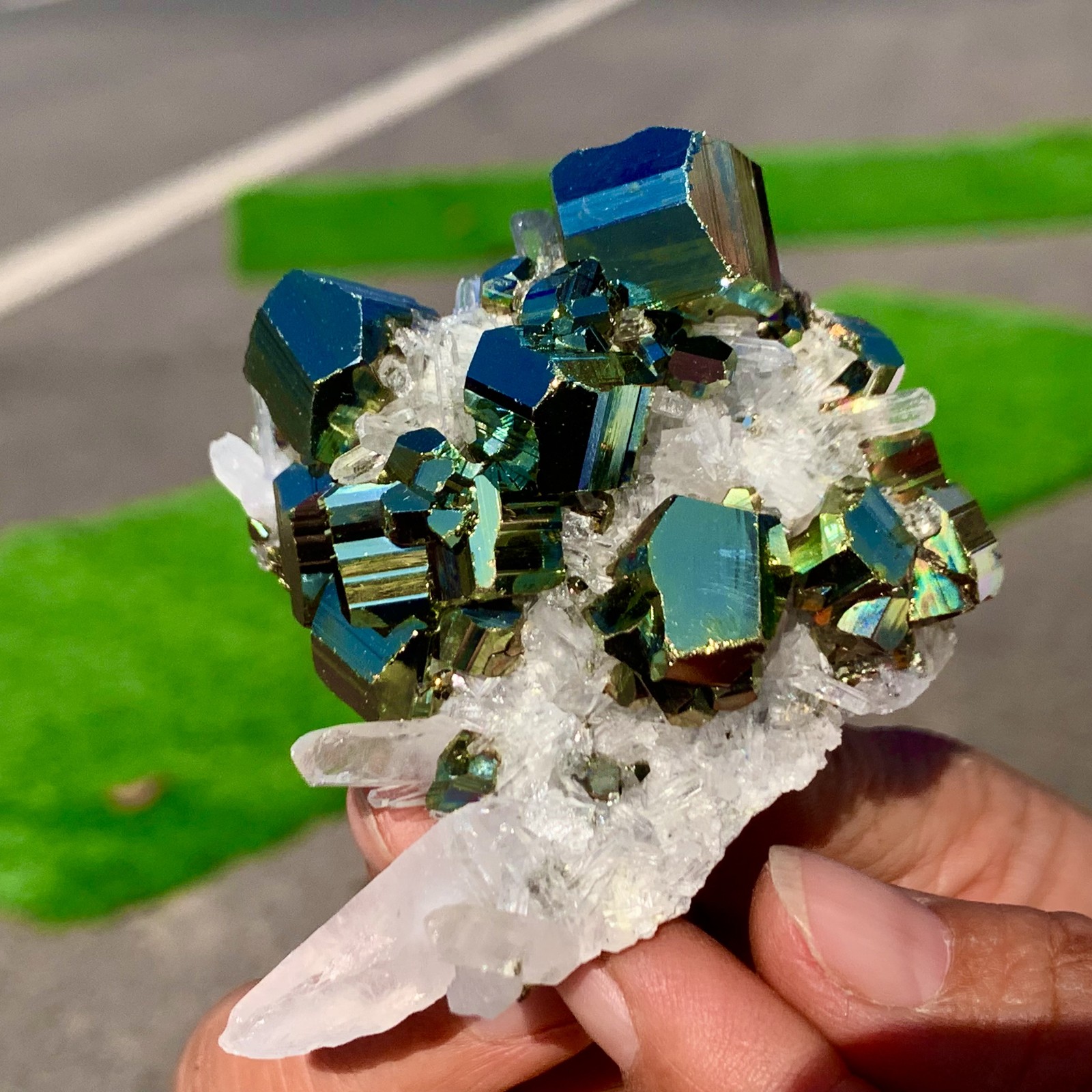 133G Natural colorful chalcopyrite clear Cluster coexisting crystal mineral