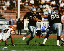 Oakland Raiders Collecting and Fan Guide 81