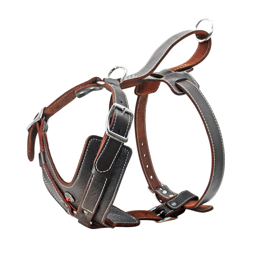 Best hot sale doberman harness
