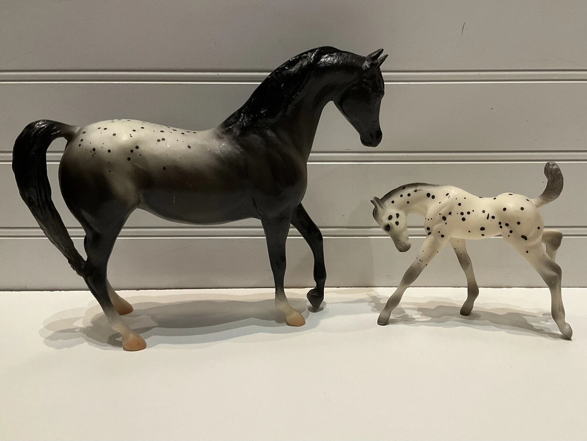 Leopard Appaloosa Foal 