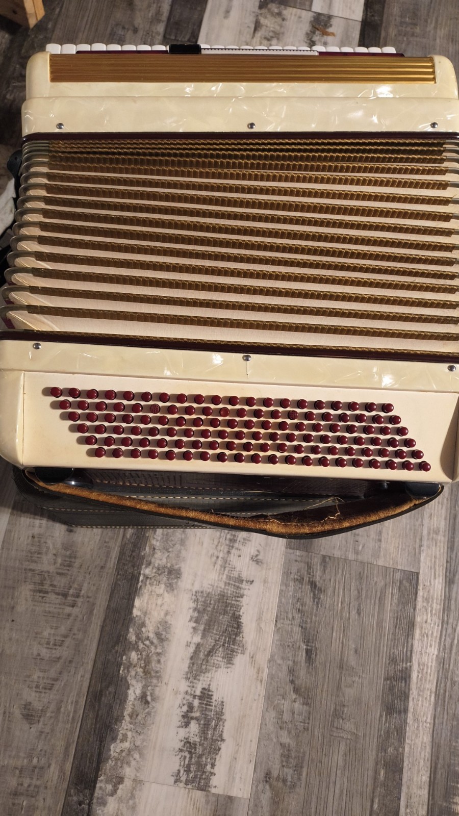 Scandalli Vintage Italian Accordian Great Shape With  Beautiful Red Velvet Case