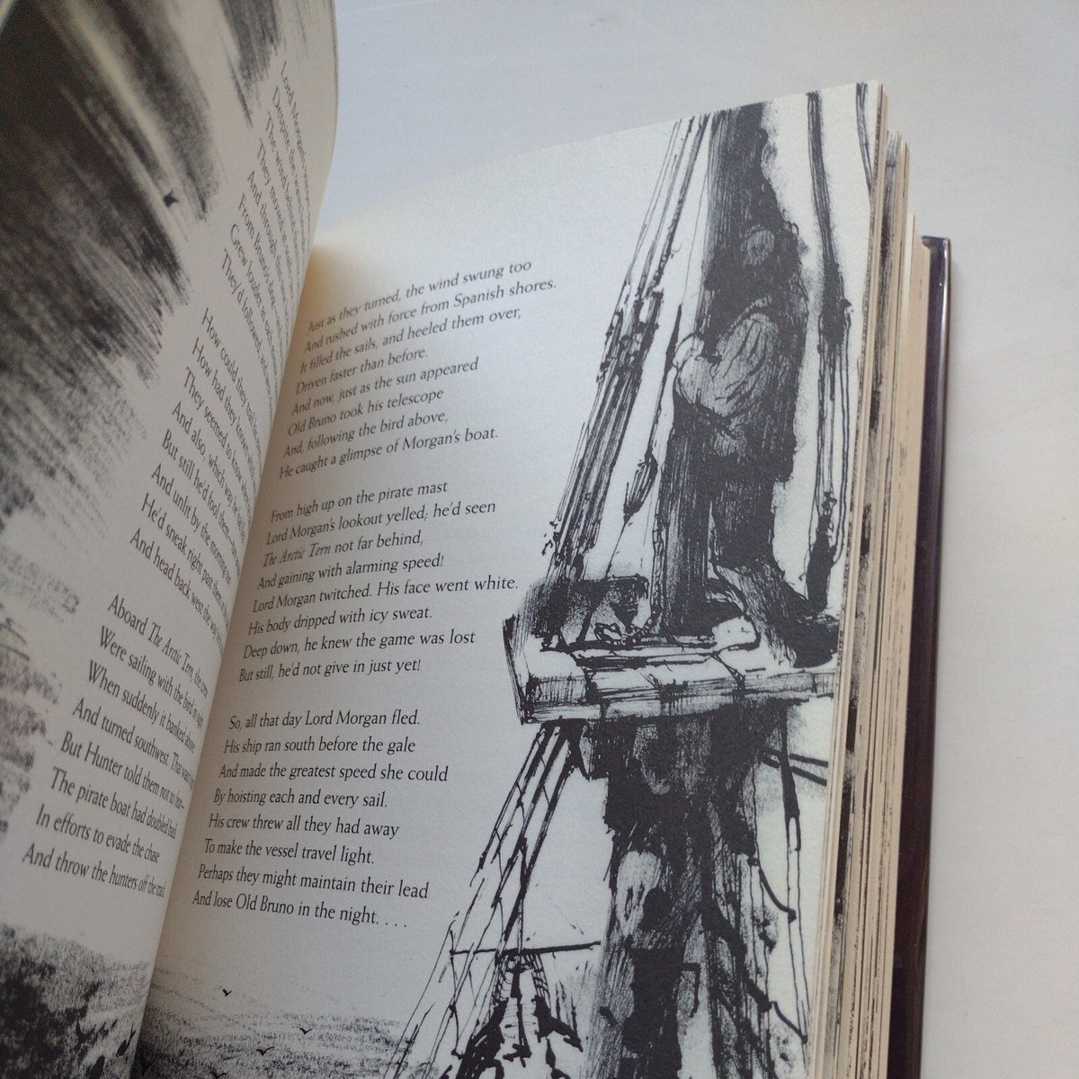 Voyage of the Arctic Tern by Hugh Montgomery (2002, Hardcover