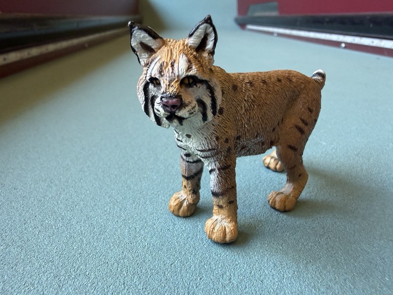 Safari Ltd BOBCAT LYNX Figure Female Wild Big Cat 2010 American Wildlife Toy