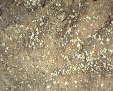 19890 MM Rosickýite Unspecified Pacific Ocean Drill Hole, Ventura County, Califo