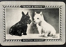 DR150 Swap Playing Cards 1 VINTAGE WHISKY ADVT  BLACK & WHITE SCOTTIE DOGS