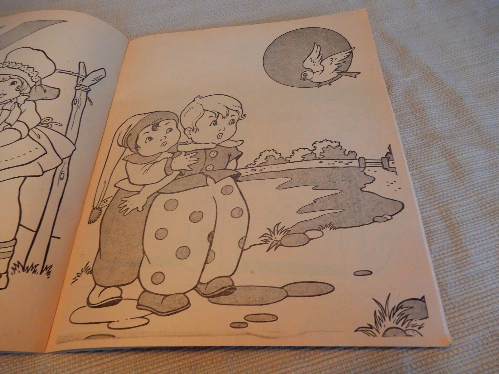 Picture 6 of 7