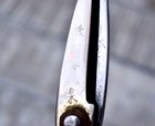 Foto 8 di 8