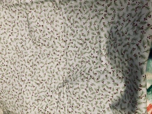 Winter Frost by Farmyard Creations for Clothworks Branches & Berries BTFQ - Picture 3 of 6