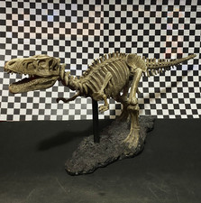 Tyrannosaurus Rex Skeleton Dinosaur Resin Sculpture Model 17.5x6.75