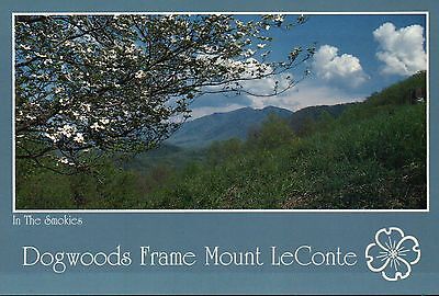 Tennessee Blue Ridge Details about  / Great Smoky Mountains National Park Appalachian Postcard