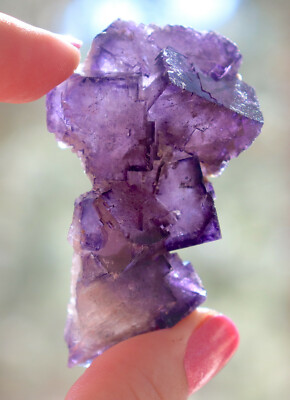Muzquiz Purple Fluorite From Mexico 6.5 Cm's