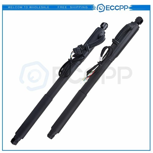 ECCPP 2x Rear Left+Right Strut Lift Support For 20072013 BMW X5 E70