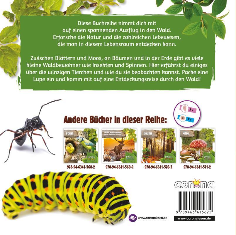 Thumbnail - Kleine Waldbewohner: Insekten, Würmer Und Schnecken, Robin Twiddy