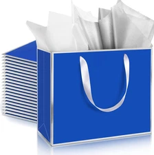 12 Pack 12 Pack Metallic Paper Gift Bag with Handles and Tissue Paper 11.8 x 10 