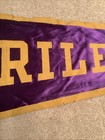 James Whitcomb Riley High School HS South Bend Indiana IN Satin 29” Pennant Flag — photo 3